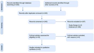 Narcissistic Personality Disorder through psycholinguistic analysis and neuroscientific correlates